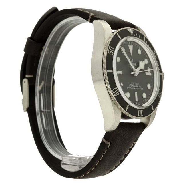 Tudor Black Bay 58 M79010SG-0001 Image 2